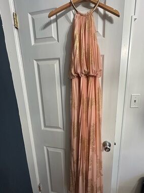 Xscape Pink Maxi Dress with Gold Accents